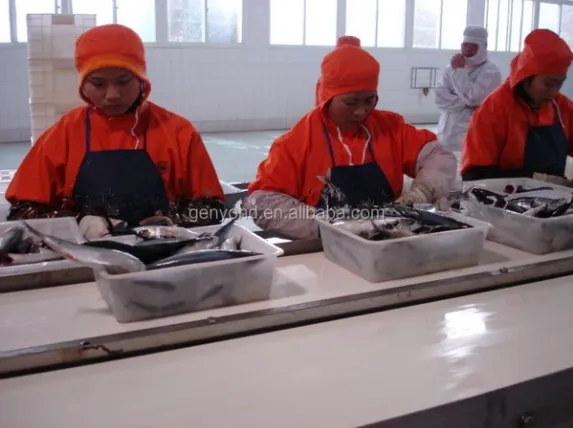 Canned Mackerel Fish Processing Line With Packaging Aluminum Alloy Cans photo-6
