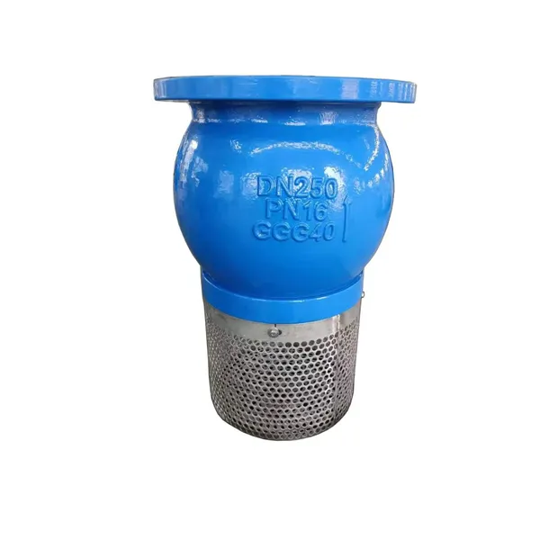 2”-16” DN50-DN400mm ASNI Foot Valve photo-5