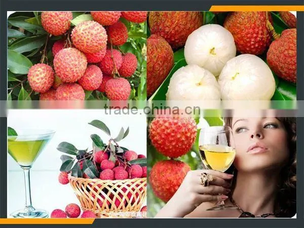 Leader Stainless Steel Longan Fruit Juice Process Line With CE & ISO photo-6