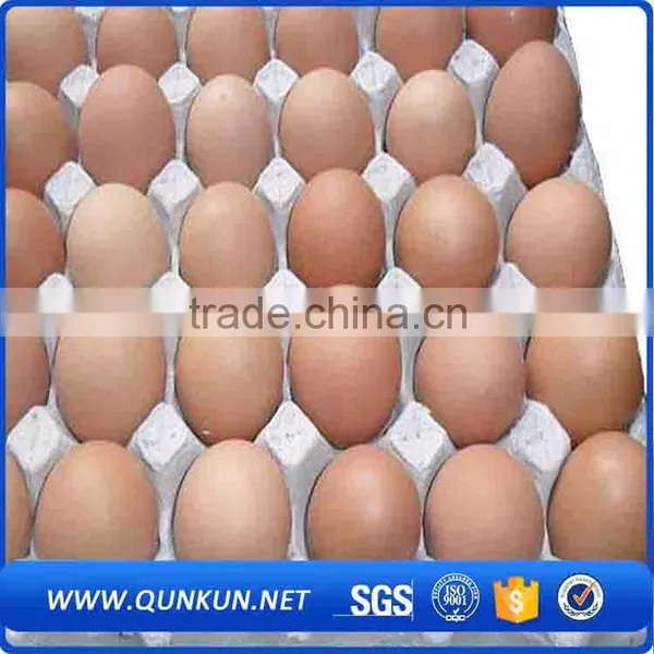 Wholesale Price Eggs Packaging photo-4