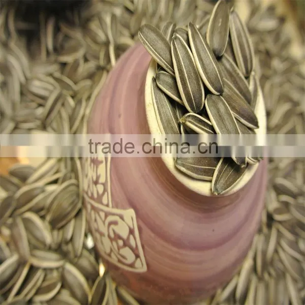 High Quality Sunflower Seeds Market Price photo-2