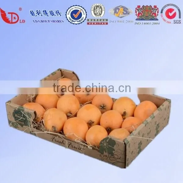 Supply Hami Melon Packaging Box Fruit Carton Box photo-4