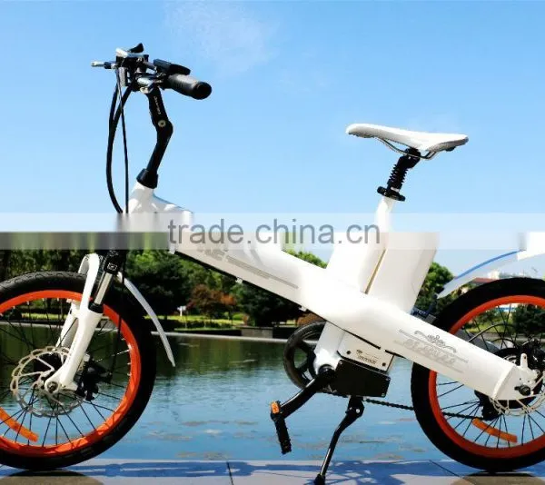 Seagull E-bike Li-ion Battery Case photo-3