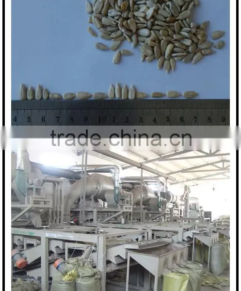 Sunflower Seeds 0409 Inner Mongolia