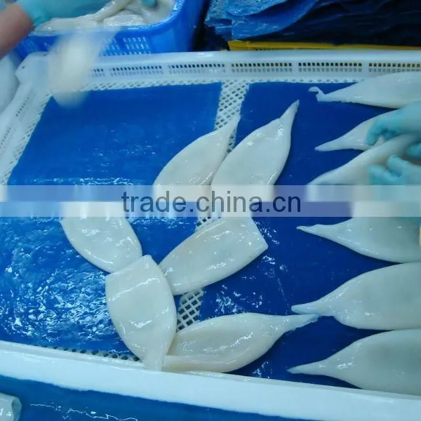 Frozen Squid Tube