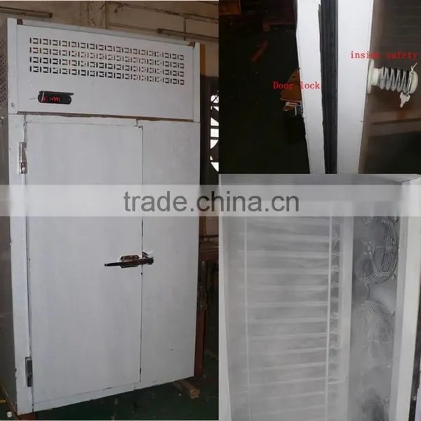 Stainless Steel Blast Freezer for Beef photo-3