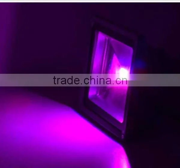 Low Price & High Quality 50w Led Flood Light & 10-200w Led Lighting ,100-277v DLC Listed Flood Light photo-4