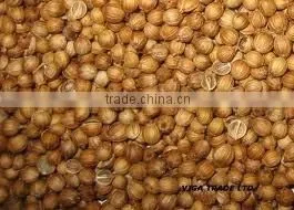 Coriander