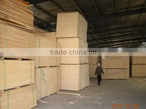 High Quality LVL From Shandong photo-4