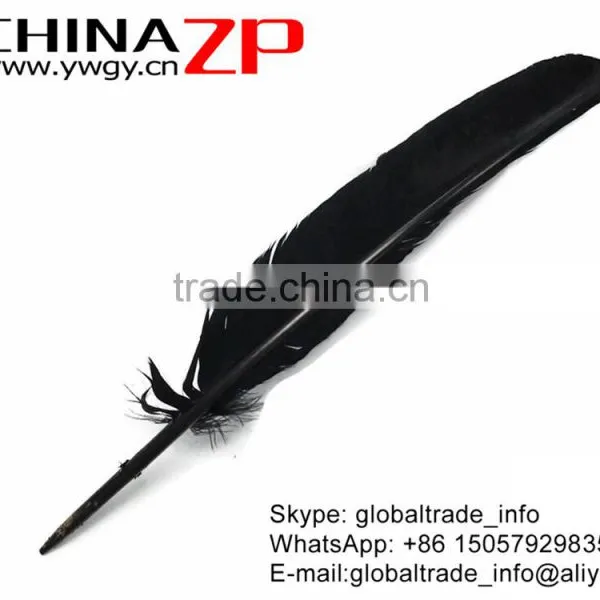 CHINAZP Cheapest Plumage Natural Dyed Black Turkey Pointers Quill Large Feathers Pens for Sale photo-3