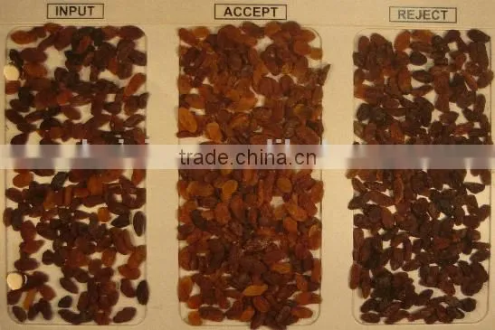 2016 With 5000+pixel Raisins Color Sorter With Fast Detection and High Identification Rate,raisins Grading Machine photo-3