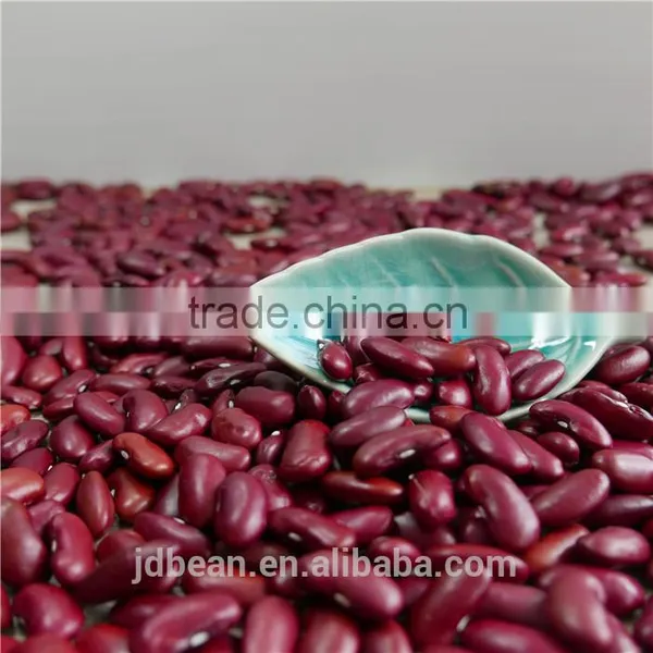 RED DARK KIDNEY BEAN Rajma HPS 200-220PCS/100G photo-4