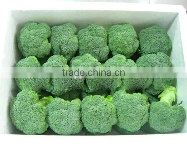 Fresh Broccoli photo-4