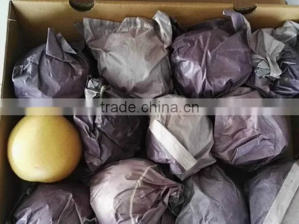 New Crop 2016 Fresh Pear photo-3