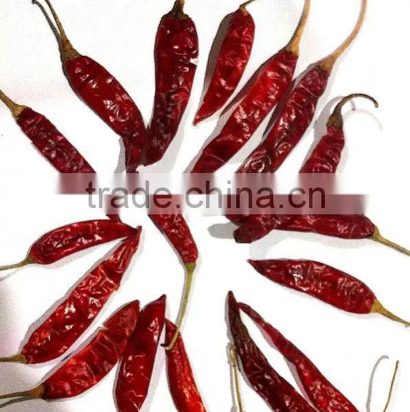 Dried Red Chili Whole Shehzadi With Stem