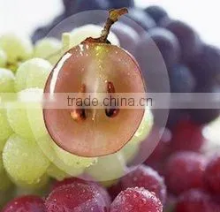 Good Market Mutil-function Grape Seed Essential Oil photo-3