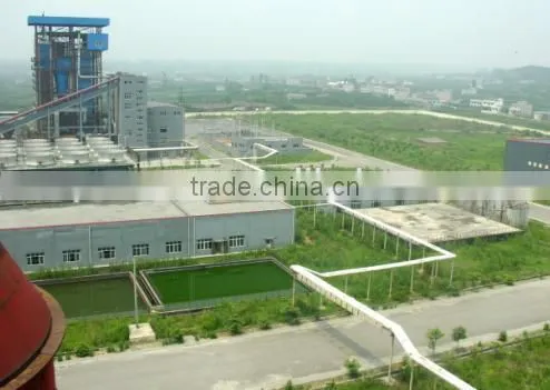 Technical Grade Sodium Tripolyphosphate (STPP) for Detergent as Surfactant photo-3