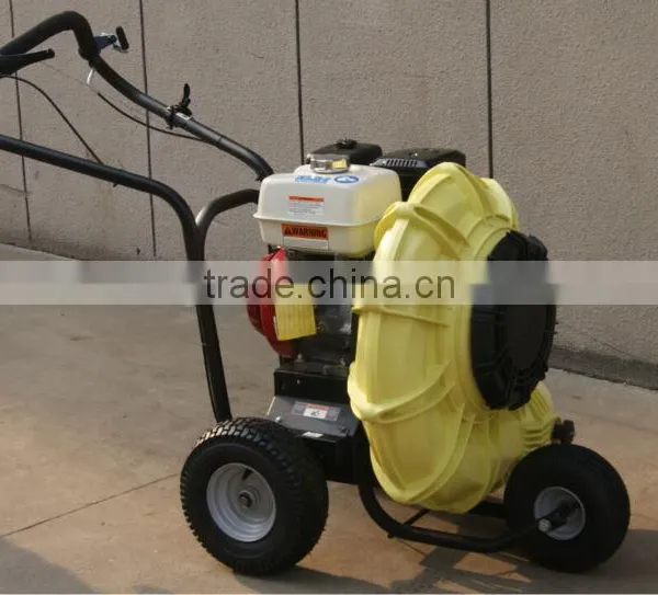 Garden Petrol Leaf Blower photo-5