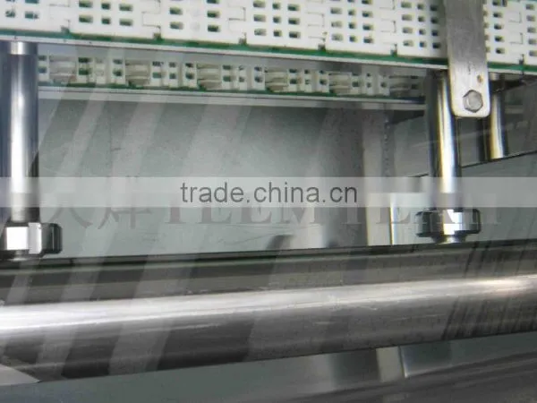 TW-307L Hot Sale Vegetable Washing Machine/ Fruit Washer/Vegetable Cleaning Machine photo-5