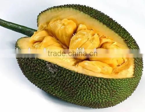 Jack Fruit Microwave Vacuum Dryer photo-5