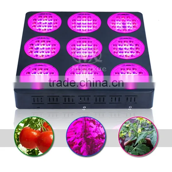 X-Grow Led Plant Grow Light Grow Light Led For Grow Room photo-4