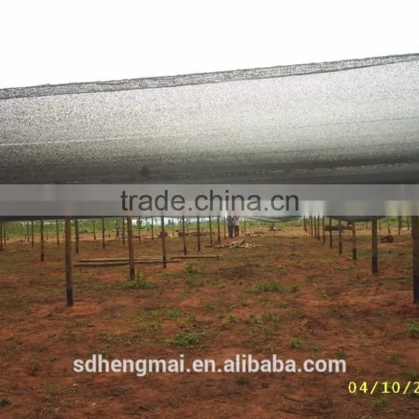 Agricultural Shade Net, Plastic Net, Green Shade Net,green Hourse,China Manufacture HDPE Shade Net, Plastic Net, pe Net photo-3