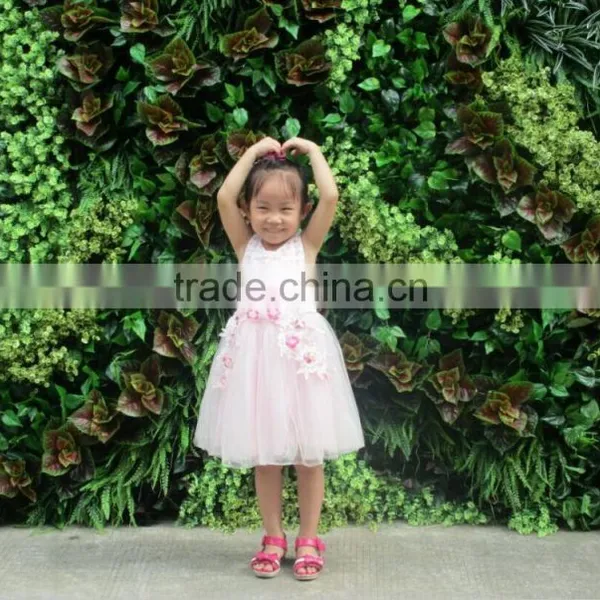 2016 New Line Green Wall for Fashion Show Plants Green Wall photo-5