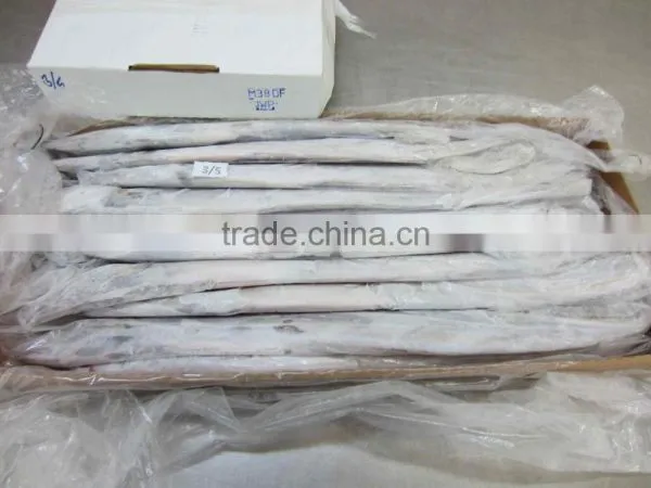 Frozen Belt Fish photo-4