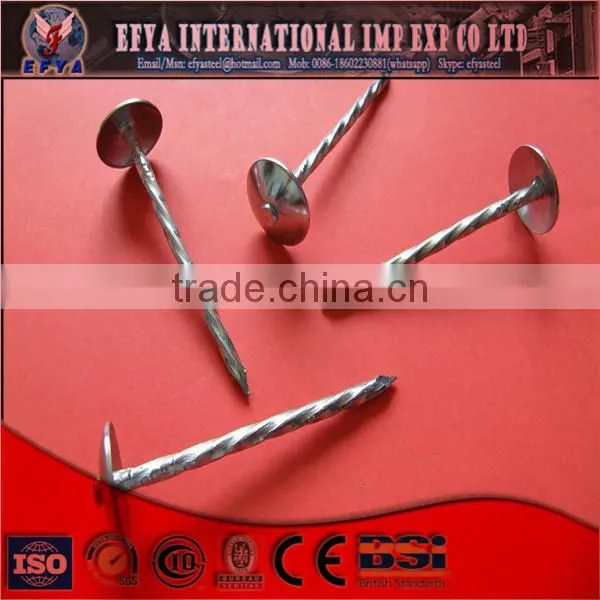 Steel Nail photo-4