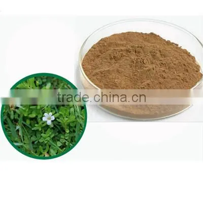 BACOPA DRY EXTRACT by HPLC