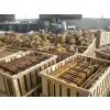 Dry Sand Casting,Die Casting,casting,foundry
