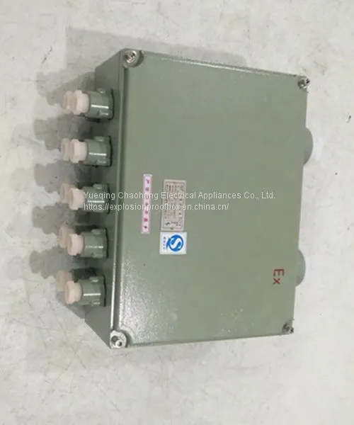 BXJ51 200 200 90 300 300 140 Zeng 'an Explosion-proof Junction Box Terminal Box Distribution Box photo-5