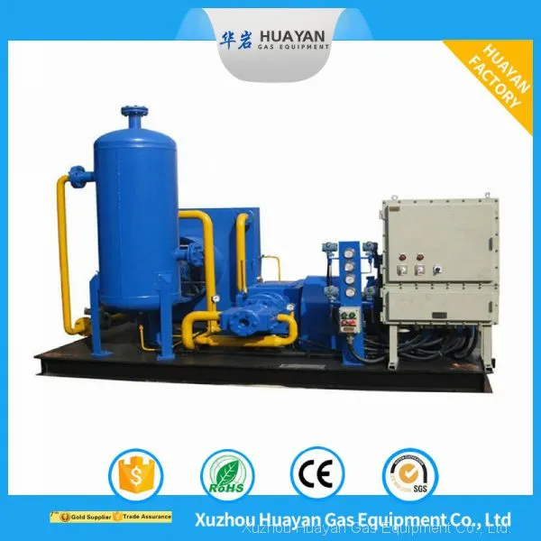 Zw-0.6/2-25 Industrial Methane Natural Gas Booster Piston Compressor photo-3