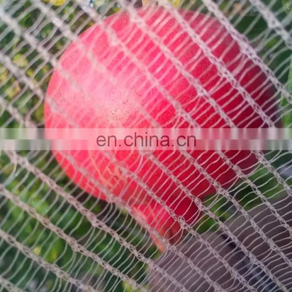 60gsm Agriculture Virgin HDPE Anti-hail Insect Bee Net Anti Hail Netting photo-3