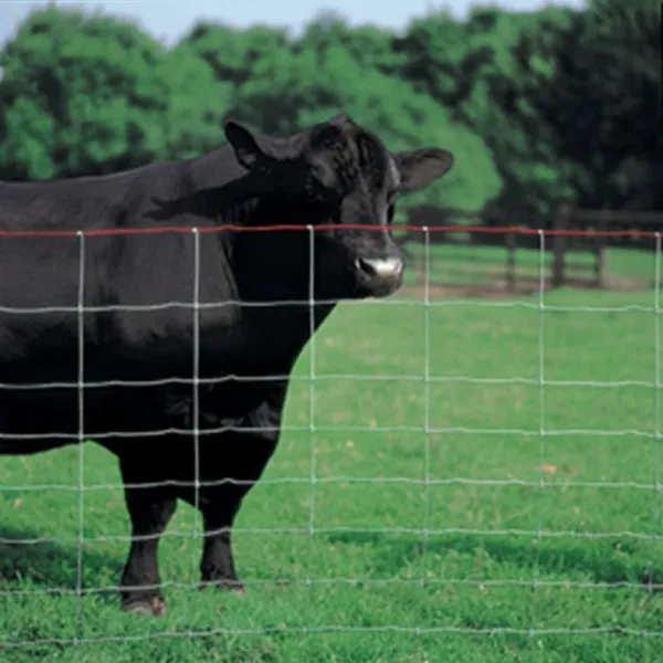 Hot Sale Galvanized Farm Fence Animal Farm Steel Wire Mesh Hinge Joint Fence/deer Fence Wire Mesh for Livestock photo-3