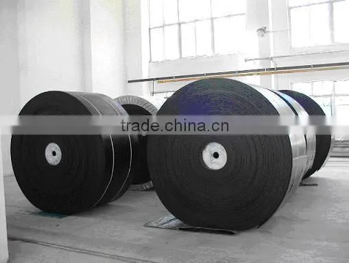 Nylon Conveyor Belt Factory With ISO 9001, ISO14001, OHSAS18001 Standard Certificate photo-5