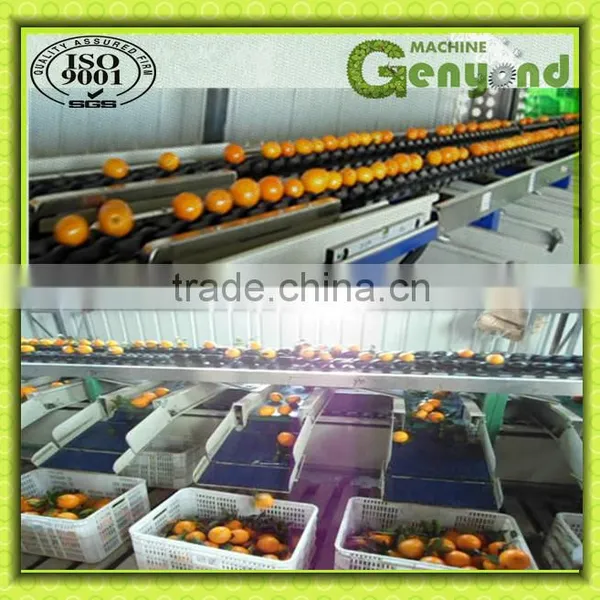 Automatically Conveying Peach Weight Grading Machine
