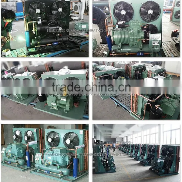 YEMOO Commercial Copeland Hermetic Air Cooled Condensing Unit for Refrigeration System photo-6