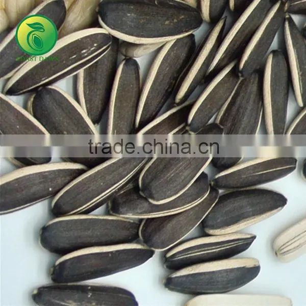 NON GMO Sunflower Seeds/Sunflower Seeds Kernel/Salted Sunflower Seeds photo-6