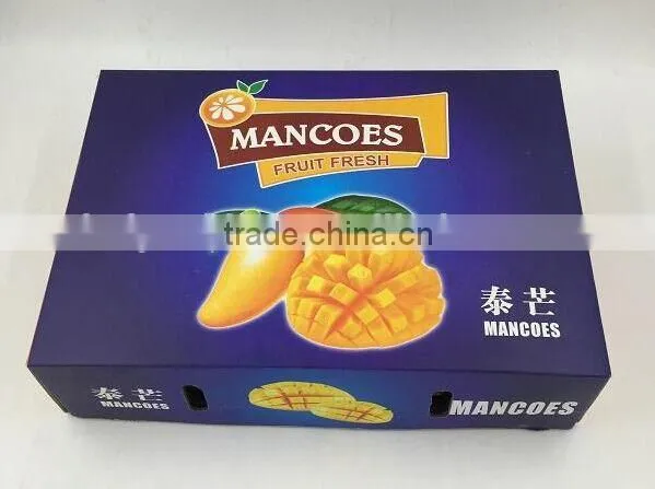 China Supplier Cheap Fruit Packaging Box photo-4