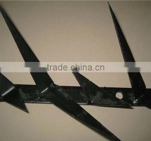 Security Wall Spikes/anti Climb Razor Spikes/manufacturer photo-4