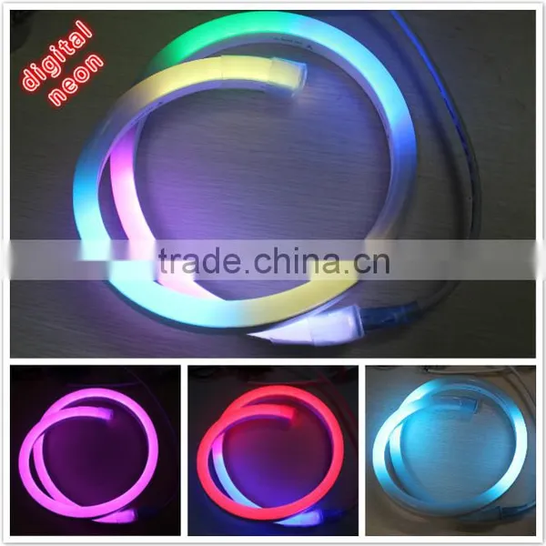 Garden Decoration 14*26mm Digital Fled Led Neon Light for Building photo-4