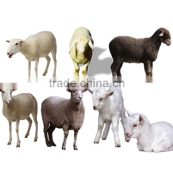 Sheep Slaughter Unit Goat Mobile Slaughter House Cattle Slaughtering Equipment Professional Production Farm Machinery