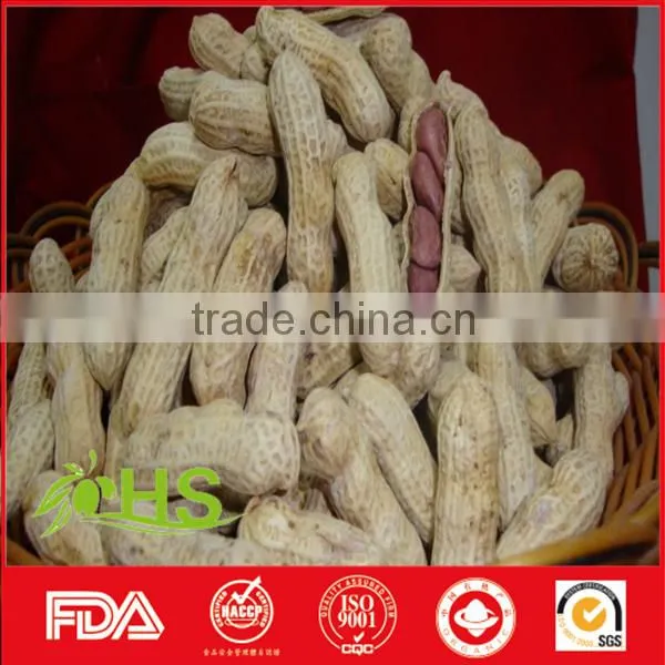 Fresh Red Skin Peanut Kernel on Hot Sale photo-2