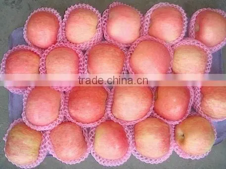 Fresh Fuji Apple