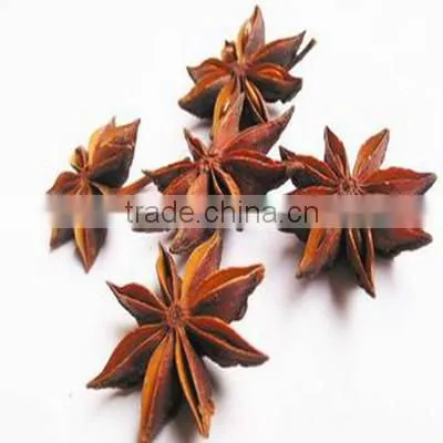Wide Flower Size Star Aniseed
