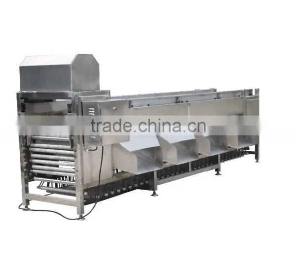 OG-606 CE Qualified Vegetable and Fruit Sorting Machine photo-2