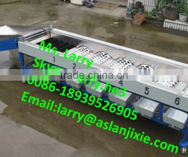 Nut Size Sorting Machine/walnut Size Grader/walnut Size Sorter photo-3