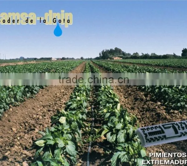 Flat Drip Irrigation photo-3