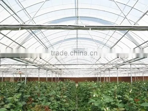 Arch Greenhouse photo-3